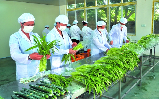 绿色南塘 美丽家园 泉州水产业赋能乡村振兴新篇章