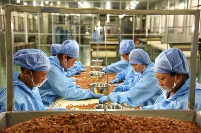 &ldquo;中国坚果健康周&rdquo;开幕 良品铺子解锁坚果4.0时代新吃法