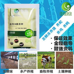 发酵床养鸡真的没有臭味吗？高清图片揭秘河南好旺农生物科技的解决方案
