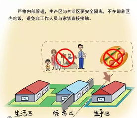 网传全省禁止生猪跨市调运致供应不稳？国际贸易视角下的真相解析